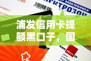 浦發信用卡提額黑口子，國內五大2025最新安全的貸款平臺