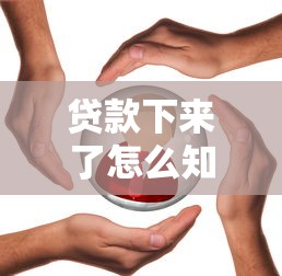 貸款下來了怎么知道要還多少，推薦五個2025最新一站式貸款服務平臺