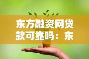 東方融資網貸款可靠嗎：東方融資網貸款安全性如何