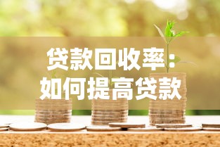 貸款回收率：如何提高貸款資金回籠效率