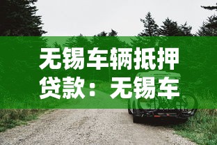 無錫車輛抵押貸款：無錫車輛抵押貸款利息怎么算？