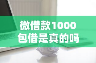 微借款1000包借是真的嗎，整合5個2025最新登峰購絕對能下的口子