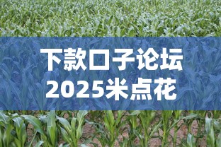 下款口子論壇2025米點花，五大2025最新資產包口子