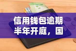 信用錢包逾期半年開庭，國內(nèi)五大2025最新最快的借錢平臺(tái)是什么