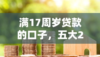 滿17周歲貸款的口子，五大2025最新2025黑花戶借款平臺