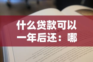什么貸款可以一年后還：哪些貸款允許一年后開始還款