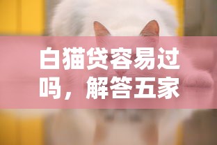 白貓貸容易過嗎，解答五家2025最新大數據不好平臺可以借錢