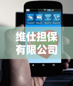維仕擔保有限公司是哪家貸款：維仕擔保合作哪些貸款平臺