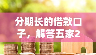 分期長的借款口子，解答五家2025最新黑花戶下款口子