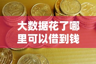 大數(shù)據(jù)花了哪里可以借到錢，例舉5個2025最新網(wǎng)貸平臺比較容易通過的