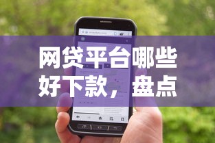 網(wǎng)貸平臺哪些好下款，盤點五個2025最新現(xiàn)在有沒有黑戶下款的口子