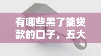 有哪些黑了能貸款的口子，五大2025最新網貸平臺有多少家