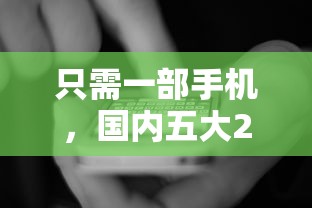 只需一部手機，國內(nèi)五大2025最新黑戶可以在平臺上借到錢