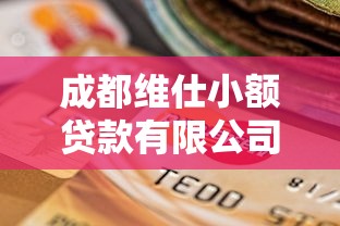 成都維仕小額貸款有限公司：維仕小貸在成都的業務范圍有哪些