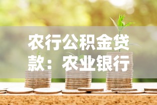 農行公積金貸款：農業銀行公積金貸款如何申請