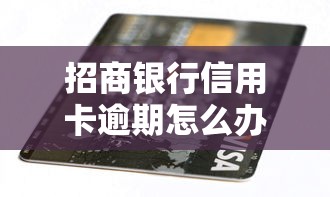 招商銀行信用卡逾期怎么辦，解答五家2025最新借款平臺(tái)貸款利息低