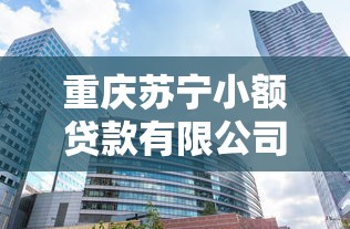 重慶蘇寧小額貸款有限公司：重慶蘇寧小貸公司貸款條件是什么