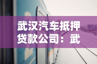 武漢汽車抵押貸款公司：武漢哪里可以辦理車輛抵押貸款
