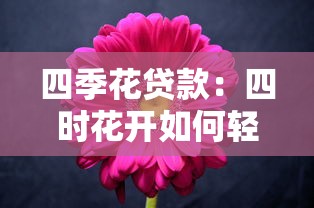 四季花貸款：四時(shí)花開如何輕松獲得資金支持