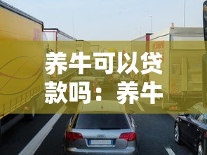 養牛可以貸款嗎：養牛場如何申請銀行貸款