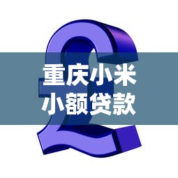 重慶小米小額貸款有限公司：小米金融在重慶的貸款業(yè)務(wù)如何