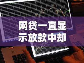 網貸一直顯示放款中卻不到賬，探討五款2025最新人體器官貸款平臺