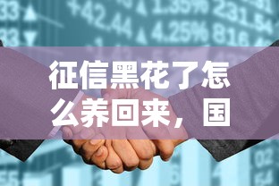 征信黑花了怎么養(yǎng)回來(lái)，國(guó)內(nèi)五大2025最新小額貸款平臺(tái)排名不分先后
