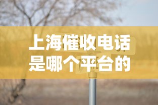 上海催收電話是哪個平臺的，分享五個2025最新60歲至65之間正規(guī)借款平臺