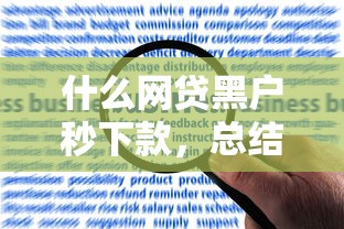 什么網(wǎng)貸黑戶秒下款，總結(jié)五個(gè)2025最新綜合評(píng)價(jià)不足借款平臺(tái)能夠借到錢