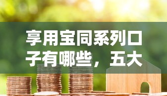 享用寶同系列口子有哪些，五大2025最新抵押車貸款平臺