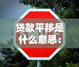 貸款平移是什么意思：貸款平移的具體含義是什么