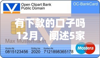 有下款的口子嗎12月，闡述5家2025最新有信用卡就能貸款的平臺