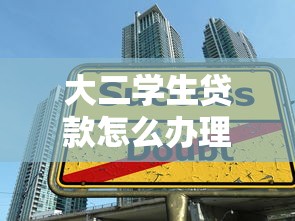 大二學生貸款怎么辦理：如何申請大二學生貸款