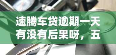 速騰車貸逾期一天有沒有后果呀，五大2025最新融貸款平臺