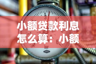 小額貸款利息怎么算：小額借貸利率如何計(jì)算