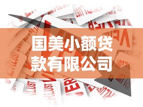 國美小額貸款有限公司：國美小貸公司的業務范圍有哪些