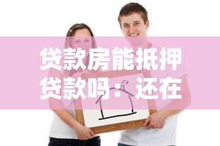 貸款房能抵押貸款嗎：還在還貸的房子能否二次抵押